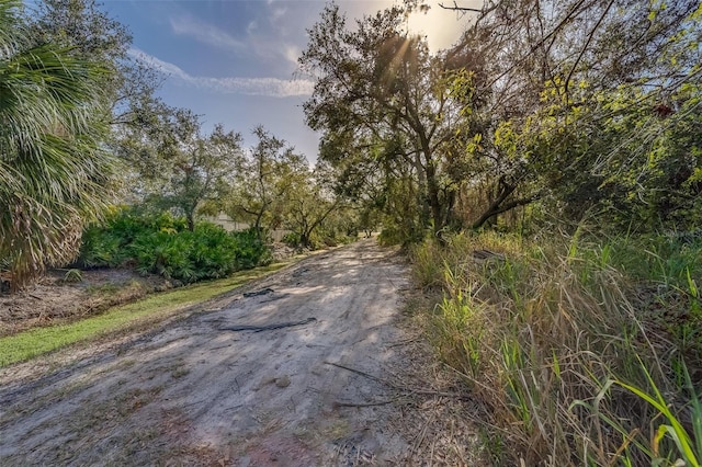 Fitzgerald, Tampa FL, 33616 land for sale