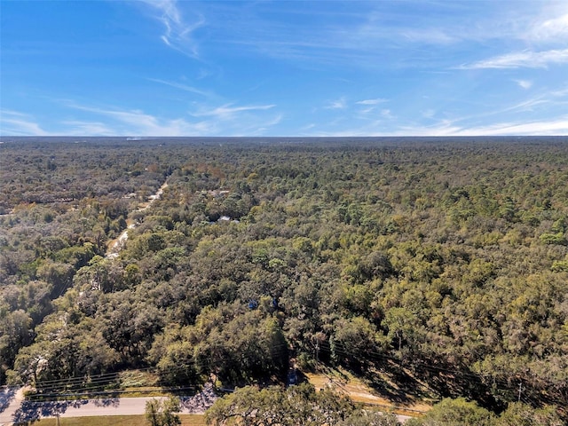 13996 Peace Blvd, Spring Hill, FL 34610 - photo 1