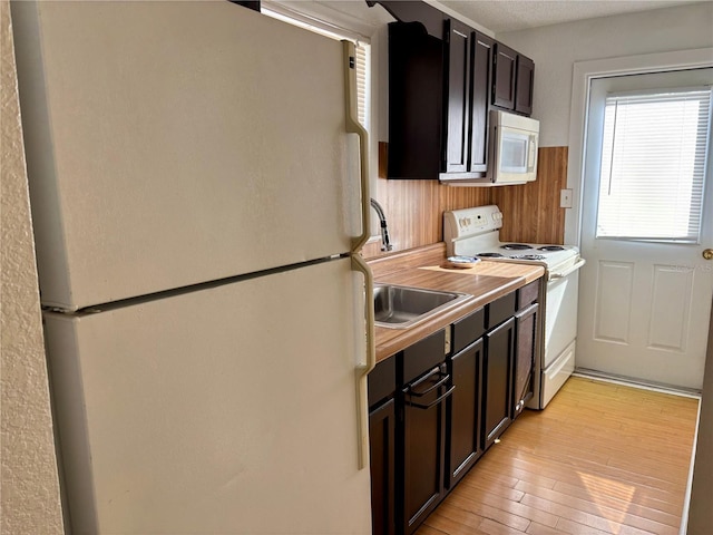 kitchen featuring dark brown cabinets, sink, light hardwood / wood-style floors, and white appliances