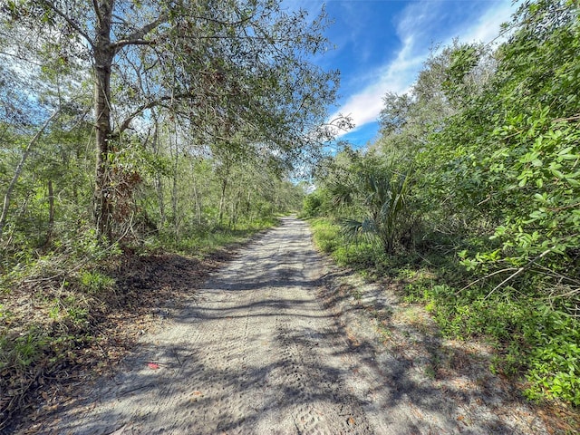 16915 Sorona Rd, Wimauma FL, 33598 land for sale