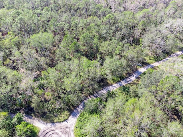 Listing photo 2 for 16915 Sorona Rd, Wimauma FL 33598