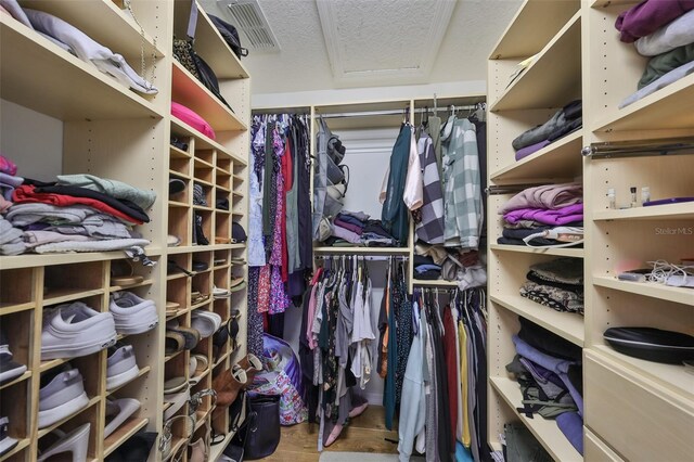 walk in closet featuring hardwood / wood-style flooring