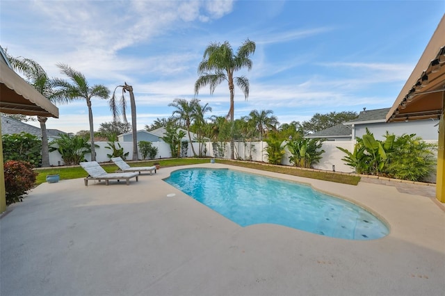 view of pool featuring a patio area