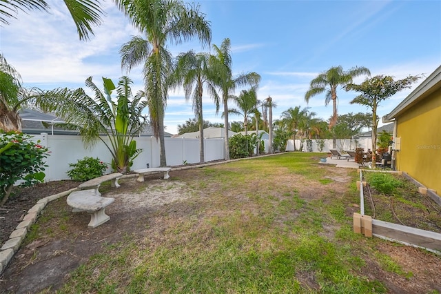 view of yard featuring a patio