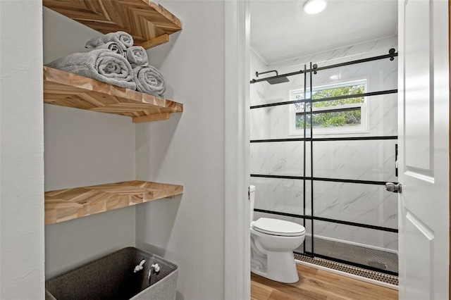 full bathroom featuring a shower stall, toilet, and wood finished floors