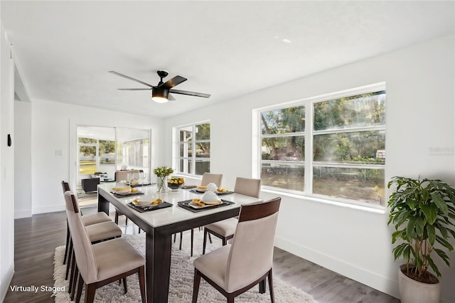 dining room featuring ceiling fan and dark wood-type flooring