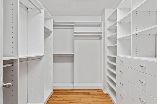 walk in closet with hardwood / wood-style flooring