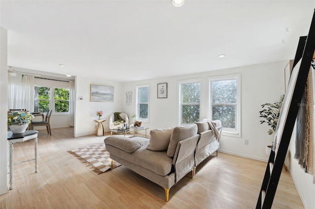 living room featuring light hardwood / wood-style flooring