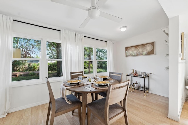 dining space featuring ceiling fan and light hardwood / wood-style flooring