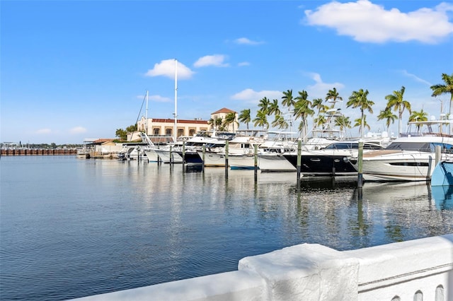 view of dock featuring a water view