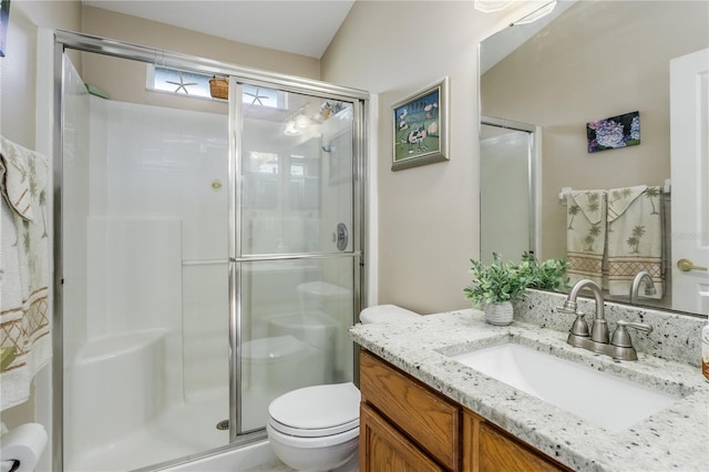 bathroom with vanity, toilet, and a shower with shower door