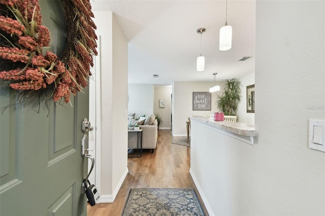 foyer entrance with light hardwood / wood-style flooring