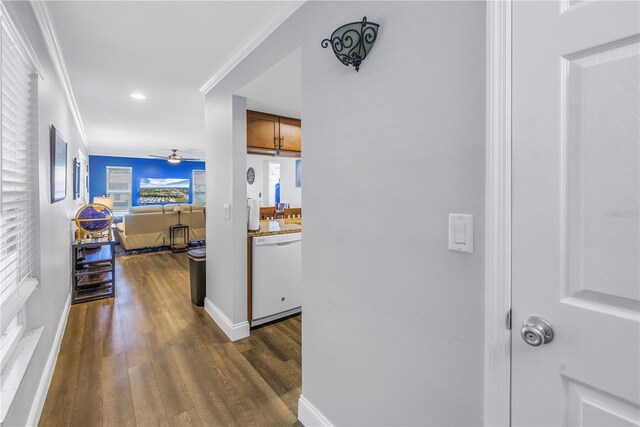 hallway with dark hardwood / wood-style floors, plenty of natural light, and crown molding