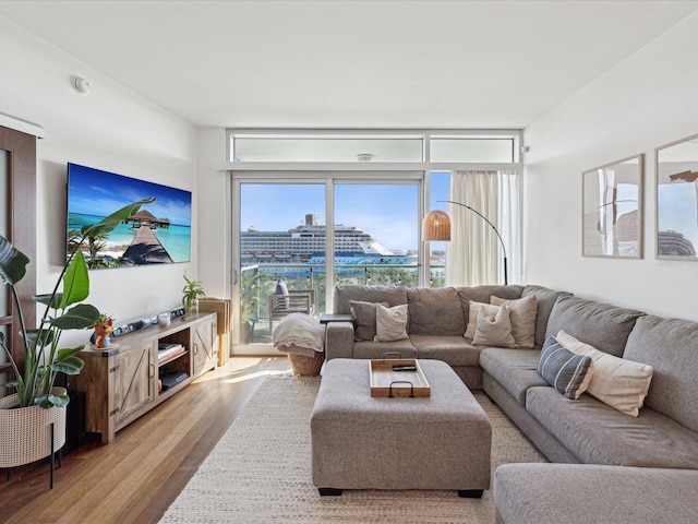 living room featuring light hardwood / wood-style flooring