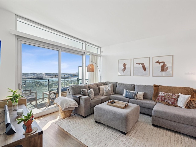 living room with wood-type flooring, a healthy amount of sunlight, and a water view