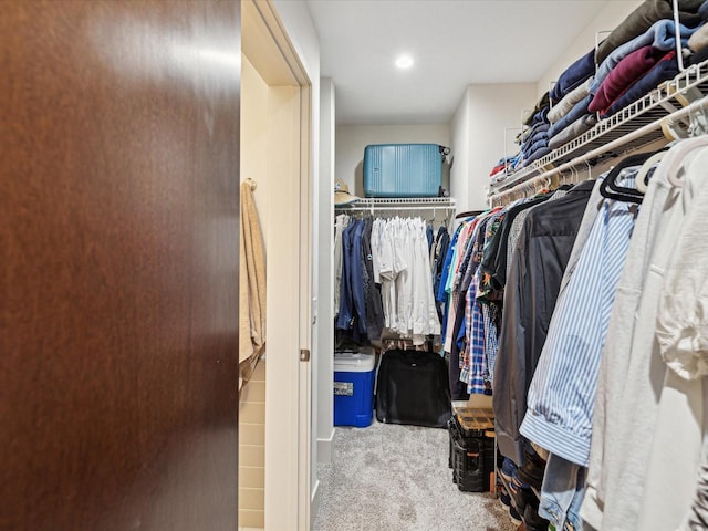 spacious closet with light colored carpet