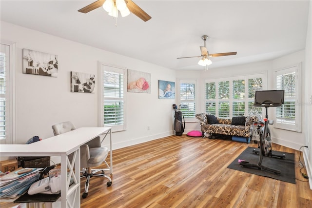 office space featuring hardwood / wood-style floors and ceiling fan