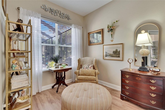 sitting room with light wood-type flooring