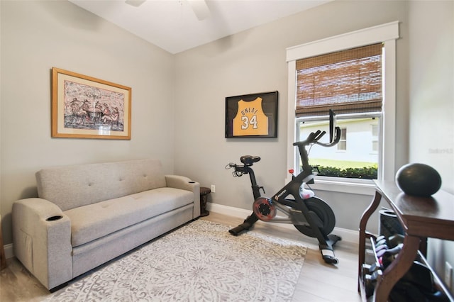 workout room with ceiling fan and light hardwood / wood-style flooring