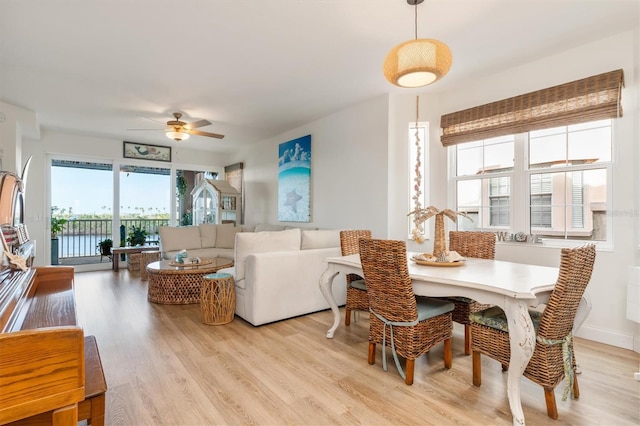 dining area featuring ceiling fan and light hardwood / wood-style flooring