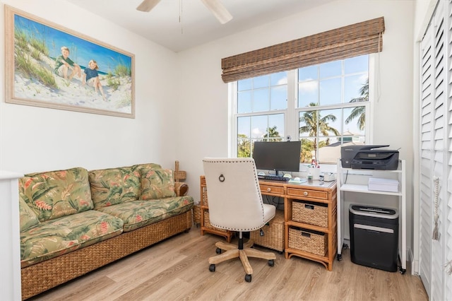 office space featuring ceiling fan and light hardwood / wood-style flooring