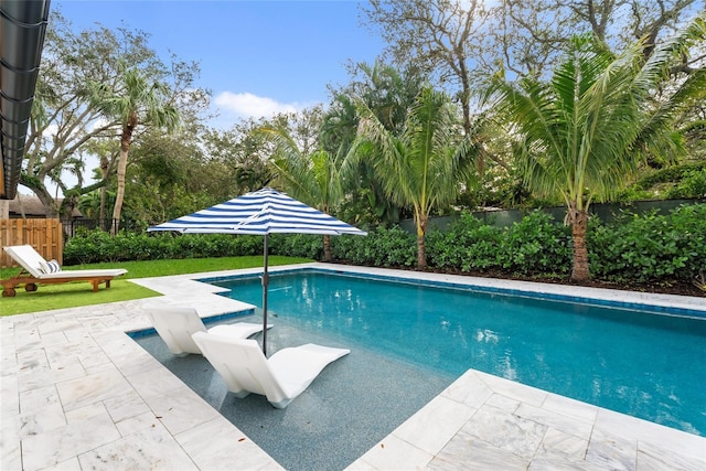 view of swimming pool featuring a patio area