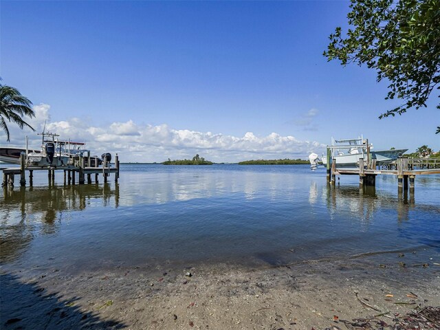 dock area with a water view