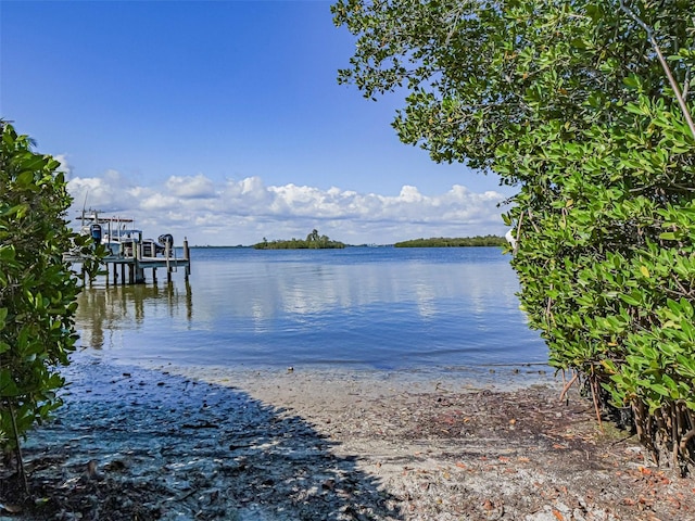 dock area featuring a water view