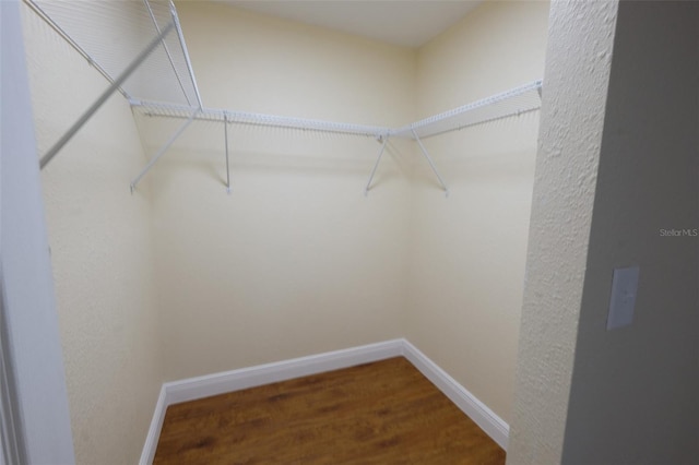 spacious closet featuring wood-type flooring