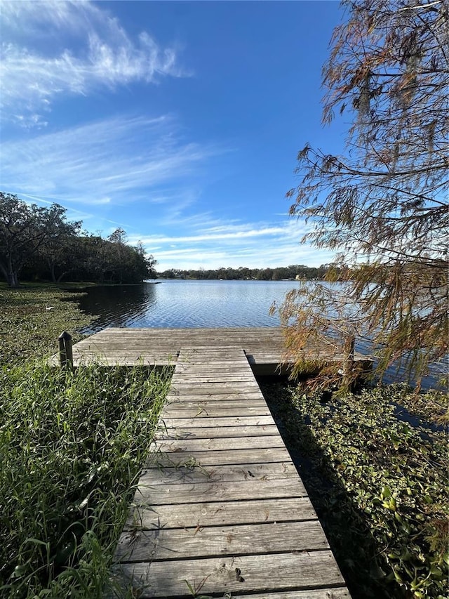 dock area featuring a water view