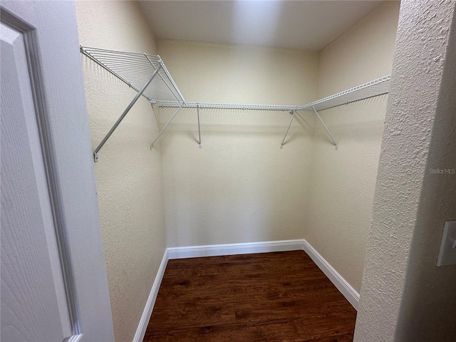 spacious closet with hardwood / wood-style floors