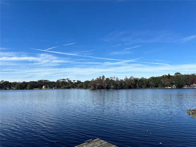 view of water feature featuring a dock