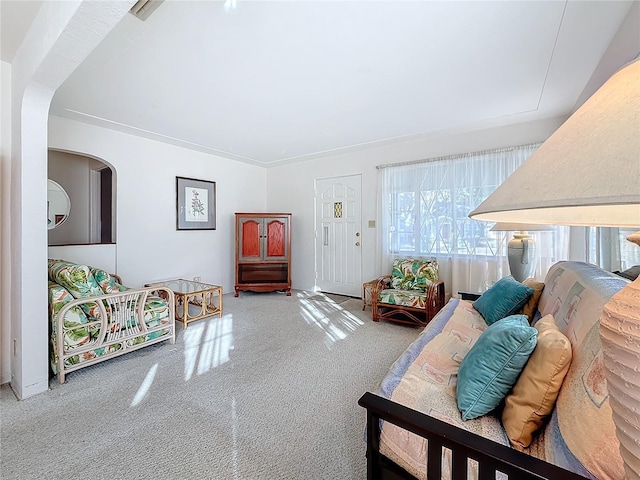 view of carpeted living room