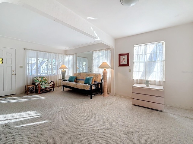 sitting room featuring light carpet