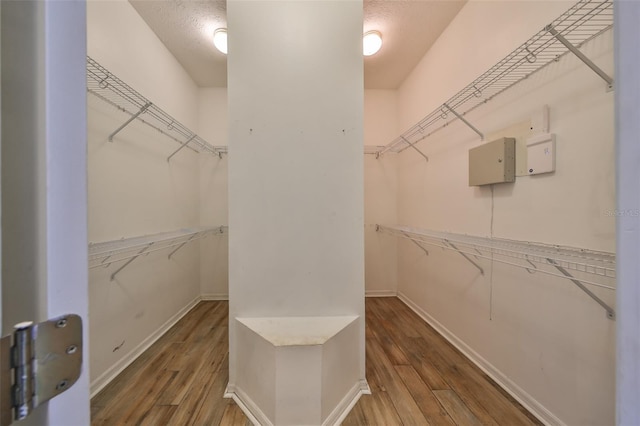 walk in closet featuring wood-type flooring