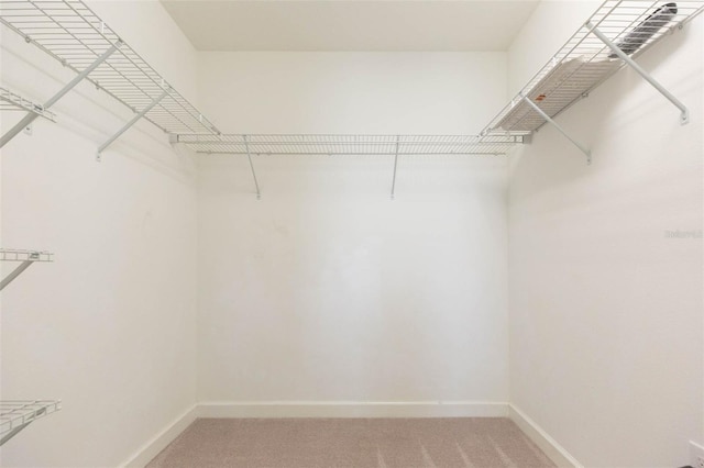 spacious closet with carpet floors