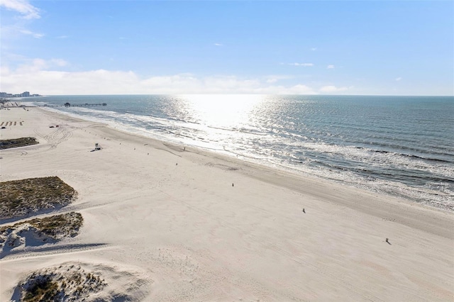 property view of water with a view of the beach