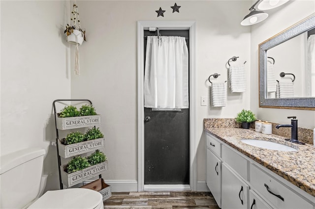 bathroom featuring vanity, toilet, and wood-type flooring