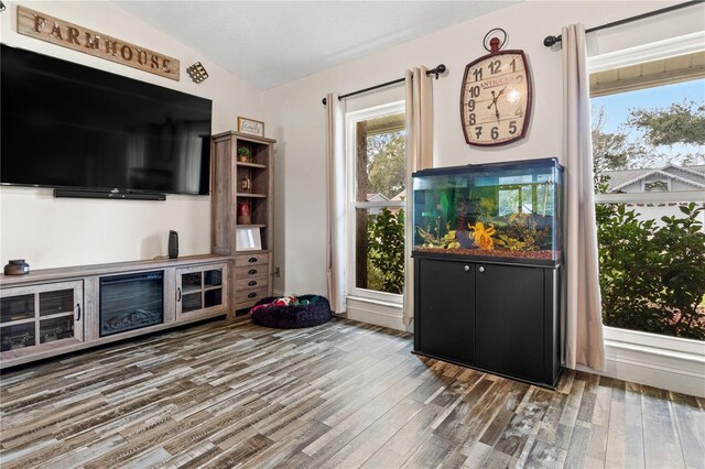 living room with lofted ceiling and hardwood / wood-style floors