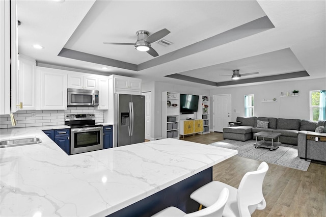 kitchen with white cabinets, a raised ceiling, blue cabinetry, and stainless steel appliances