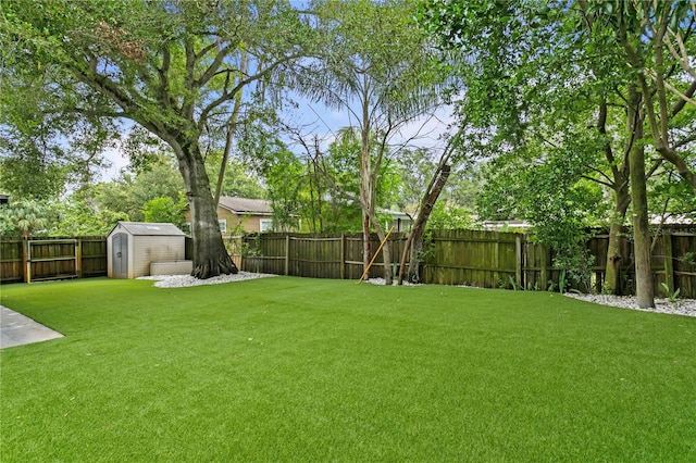 view of yard featuring a storage unit