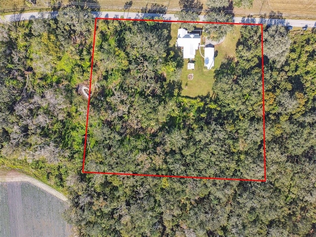 301 Old Hopewell Rd, Plant City, FL 33567 - photo 51