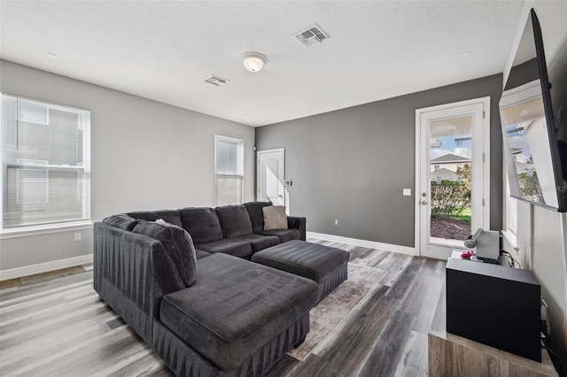 living room featuring hardwood / wood-style floors