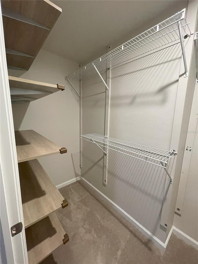 spacious closet with carpet floors