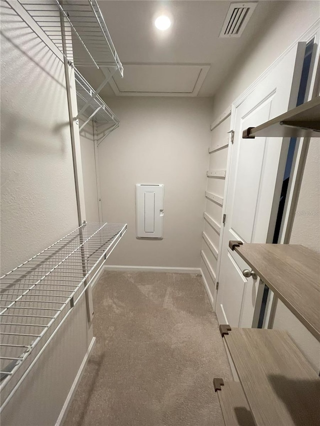 walk in closet with carpet floors