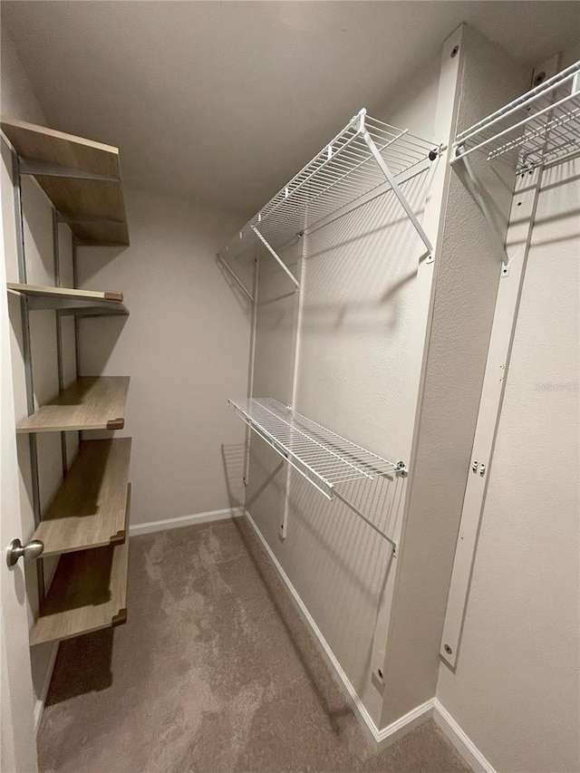 spacious closet featuring carpet flooring