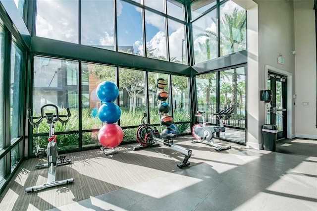 gym featuring a high ceiling