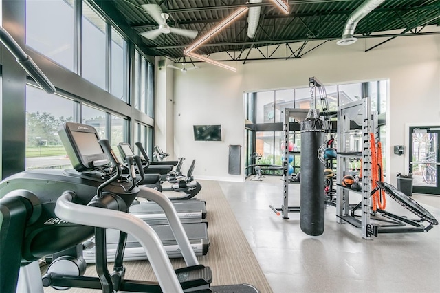 gym featuring a towering ceiling