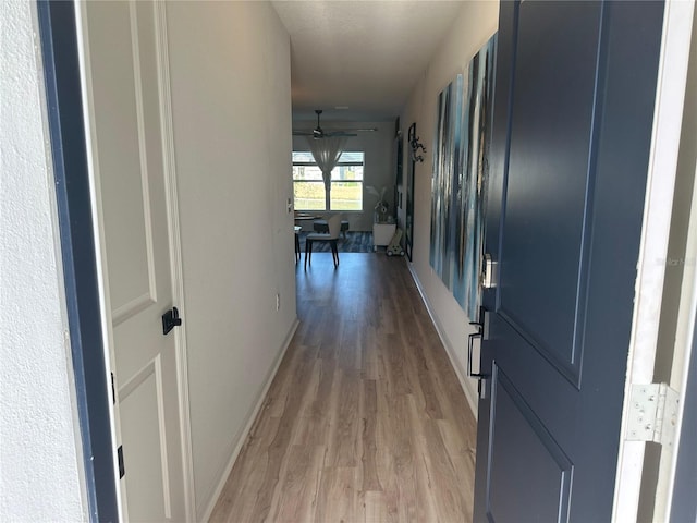 hall with light hardwood / wood-style floors