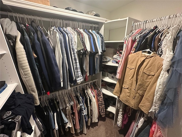 spacious closet featuring carpet